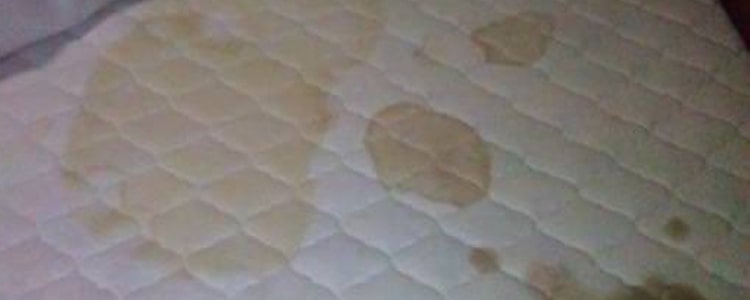 Remove Oil Stain From Mattress